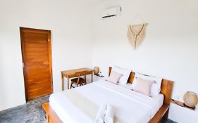 Turtle House Surf & Stay